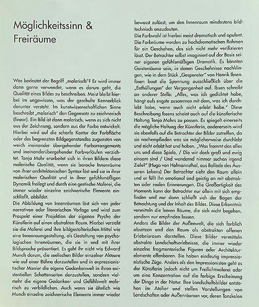 tanja-mohr-ausstellungen-freiraeme-galerie-kaempf-basel-02